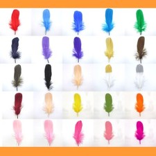 10x Gänsefedern 15-20 cm Gans