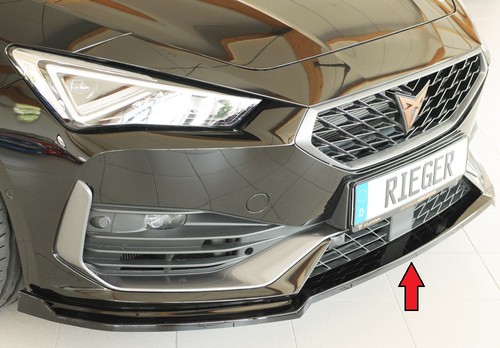 Rieger spoilerschwert für - rieger,