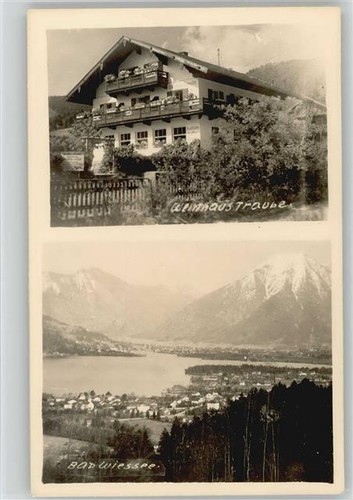 10004912 8182 bad wiessee - -,