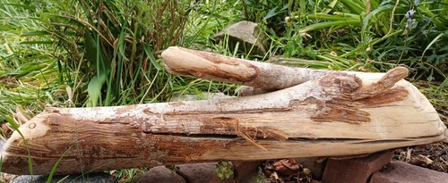 Schön geformtes grosses - geformtes,,