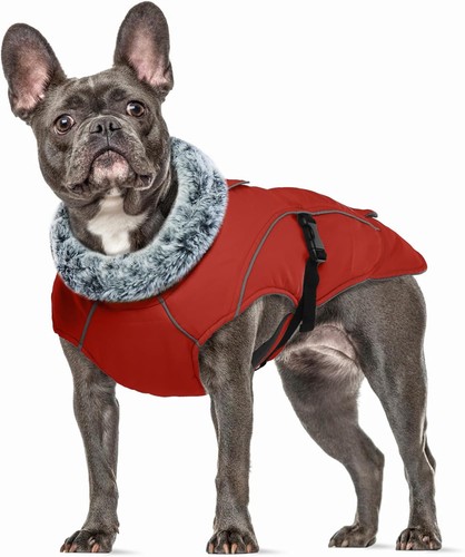 Wintermantel hund mittelgroß - wintermantel,