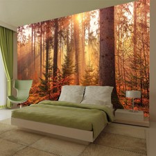 Baum Pflanze Licht Wandbild