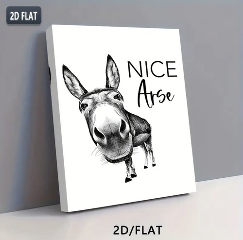 Lustiges esel bild nice - esel,