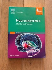 Neuroanatomie - Struktur und