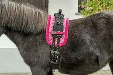 Longiergurt Unterlage Longierunterlage Longiergurtdecke Fell/Stepp pink