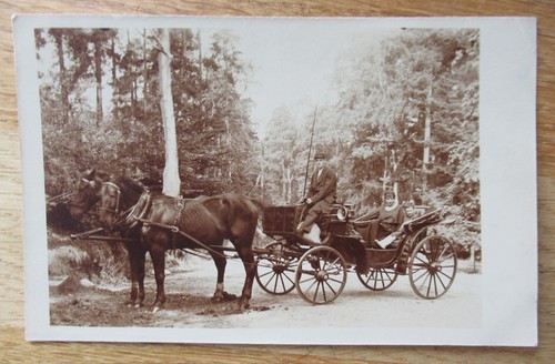 Altes foto pferdekutsche - foto, /