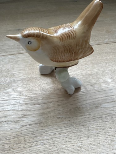 Buchfink spatz auf ast - spatz,