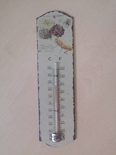 Vintage wandthermometer - vintage,