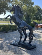 FERRARI PFERD 310cm Schwarz