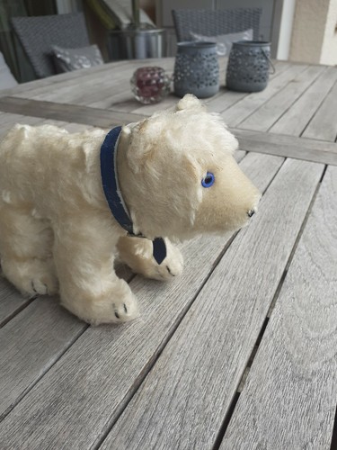 Original steiff eisbär cm - original,