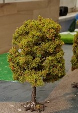 3 Kastanien, Kastanienbäume