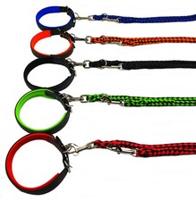 Hundehalsband Hundeleine