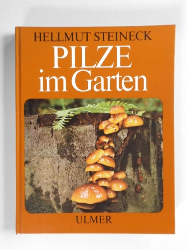 Pilze garten steineck - im,