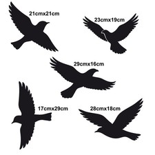 Vogelschreck Schutz Glas