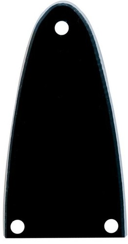Trussrod cover abdeckplatte - 1,