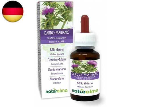 Mariendistel silybum - mariendistel, (silybum