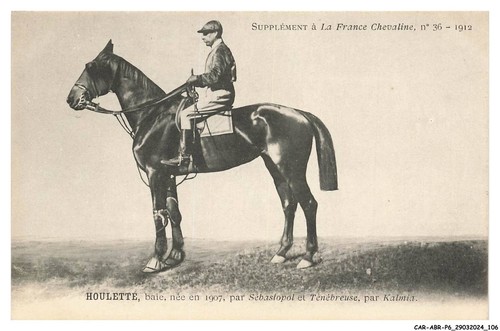 Car abrp6 0546 reiten - car-abrp6-0546-reiten,