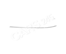 Stoßfänger Zier Schutzleiste