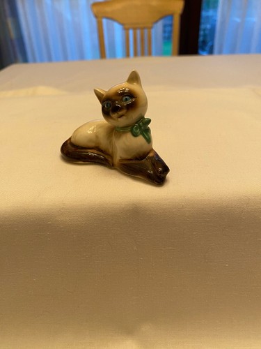 ältere goebel katze siamkatze - katze,