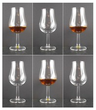 6 Tasting Nosing Gläser