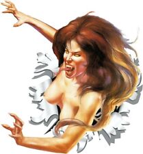 Aufkleber 3D - Einschussloch