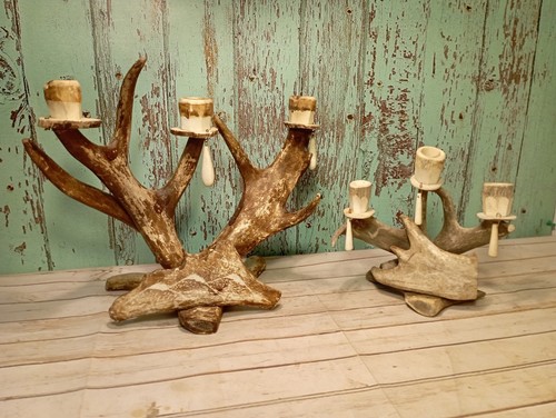 Vintage sami rentier - sami, horn