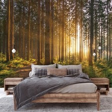 WALD SONNE NATUR Vlies Fototapete Wohnzimmer Landschaft Modern TAPETE + KLEISTER