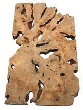 1x Oliven Wurzelholz Holz für