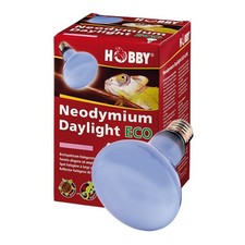 Hobby Neodymium Daylight Eco, Tageslicht-Halogenstrahler - 28W - E27 Strahler