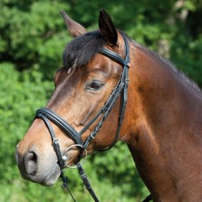 Kieffer Trensenzaum Essential