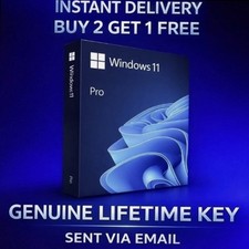 Windows 11 Professional