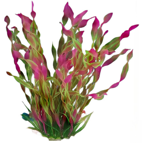 Wasser lotus und spiralkelp - lotus,