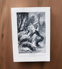 Antik 1915 Die Schlange Hund