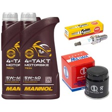 Set Öl 2L Inspektion