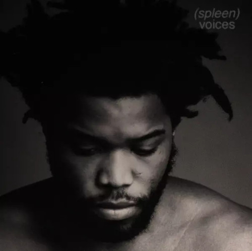 Voices spleen - voices,,