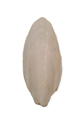Sepia sepiaschale kalzium - sepia,