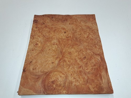 Maser ahorn furnier 1 - -,
