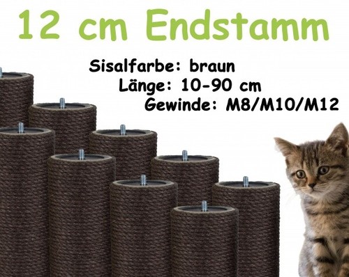 Endsisalstamm - 12, cm