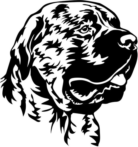 Presa canario aufkleber - presa,
