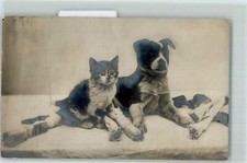 39150266 - Hund und Katze mit Tischfeuerwerk Foto AK  Katzen 1913