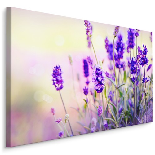 Canvas leinwand bilder xxl - canvas,