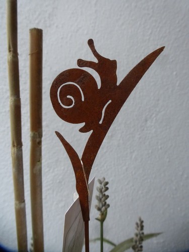 Schnecke auf grashalm 38 - auf, grashalm"