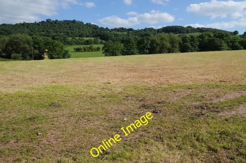 Foto 6x4 geerntetes - , silagefeld