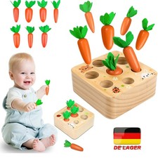 Montessori Spielzeug Holzspielzeug Sortierspiel Holzpuzzle Karottenernte Kinder