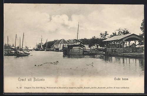 Batavia oude boom - batavia,,