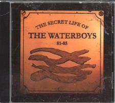 Waterboys Secret Life of the