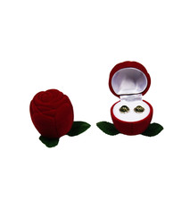 Ring Ohrringe Schmuckbox