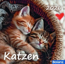 Katzen 2026 | Deutsch |