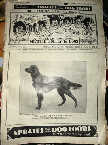 Our dogs magazine july - july, 1936