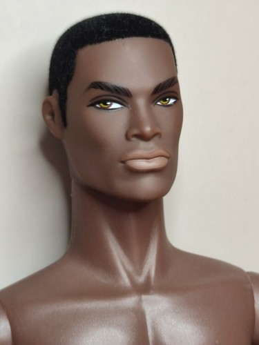 Fashion royalty darius - fashion, reid